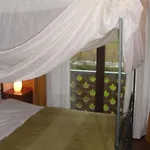 Del Molino Vecchio