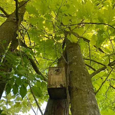 Nyaraló Del Molino Vecchio Magliano Alfieri